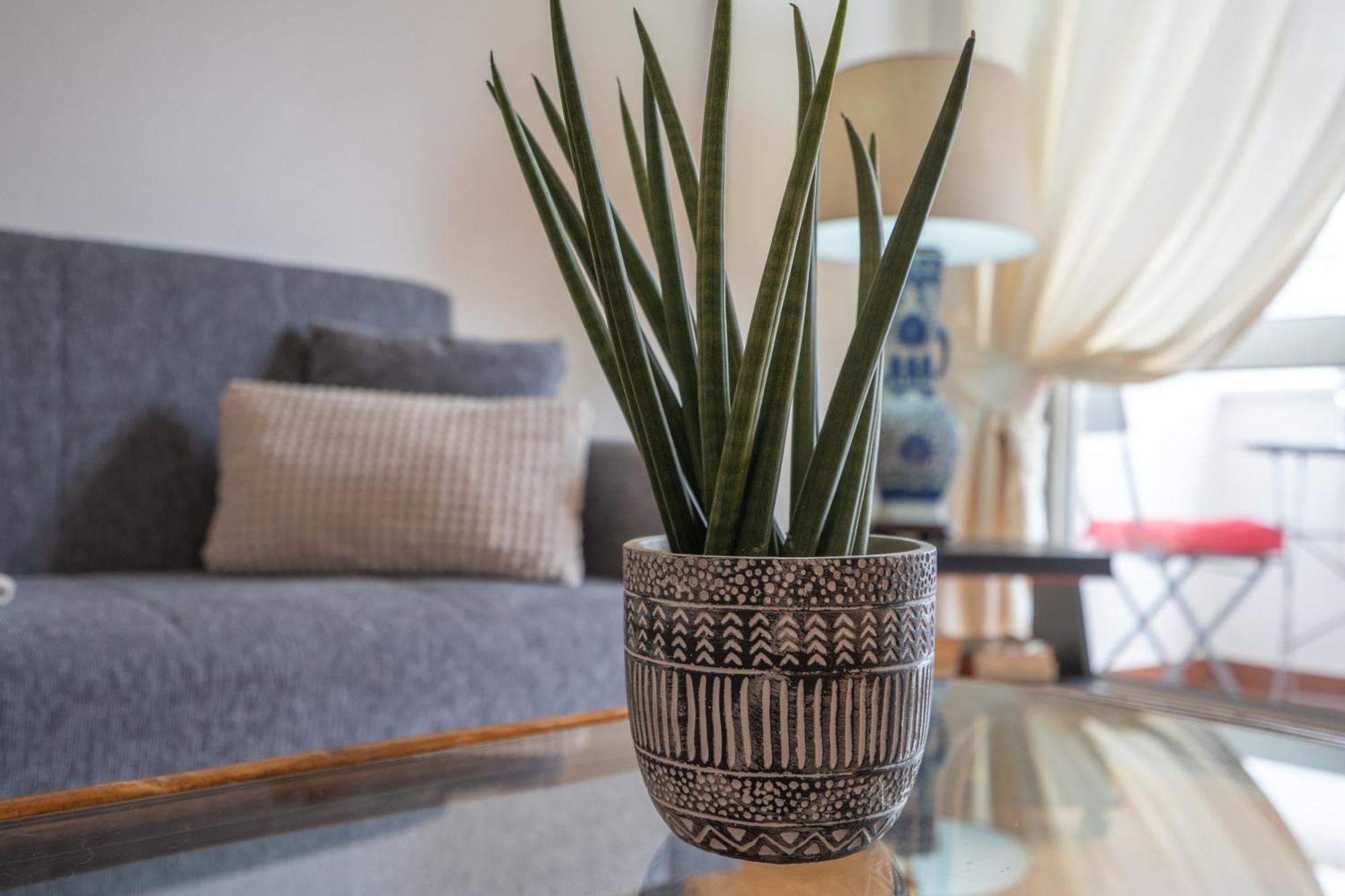 Apartamento Escadinhas ラゴス エクステリア 写真